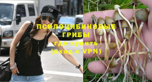 apvp Балахна
