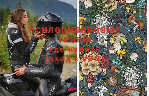 apvp Балахна