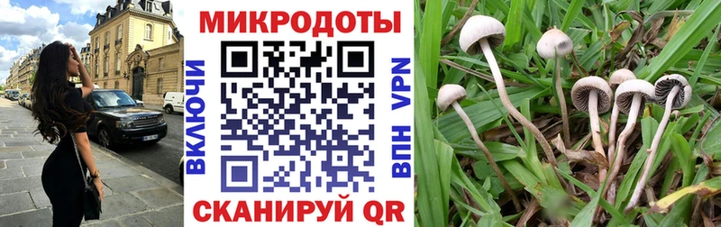 Галлюциногенные грибы Magic Shrooms OMG вход Краснокаменск хочу наркоту
