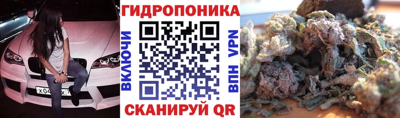 Марихуана ГИДРОПОН  нарко площадка Telegram  Краснокаменск  блэк спрут ссылки 